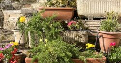test Italian property